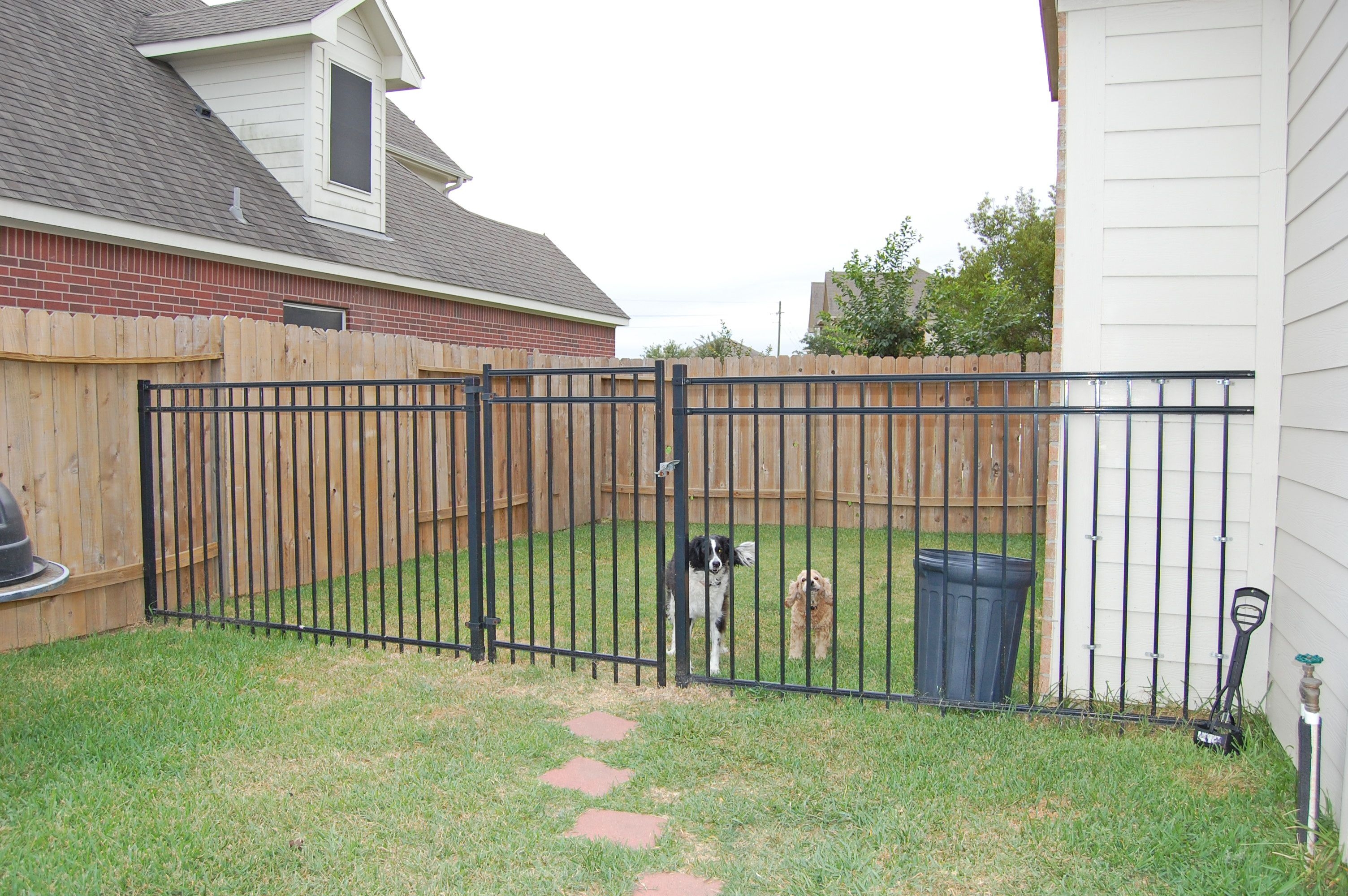Забор от собак на участке фото