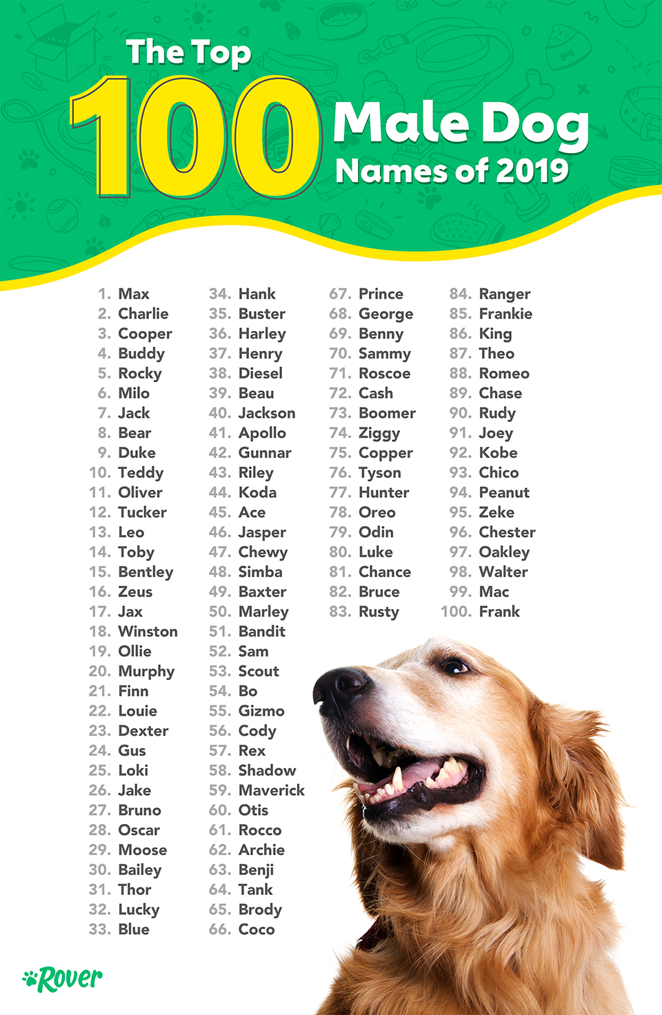 самые красивые имена для собак мальчиков