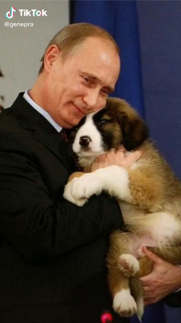Володя демотиваторы