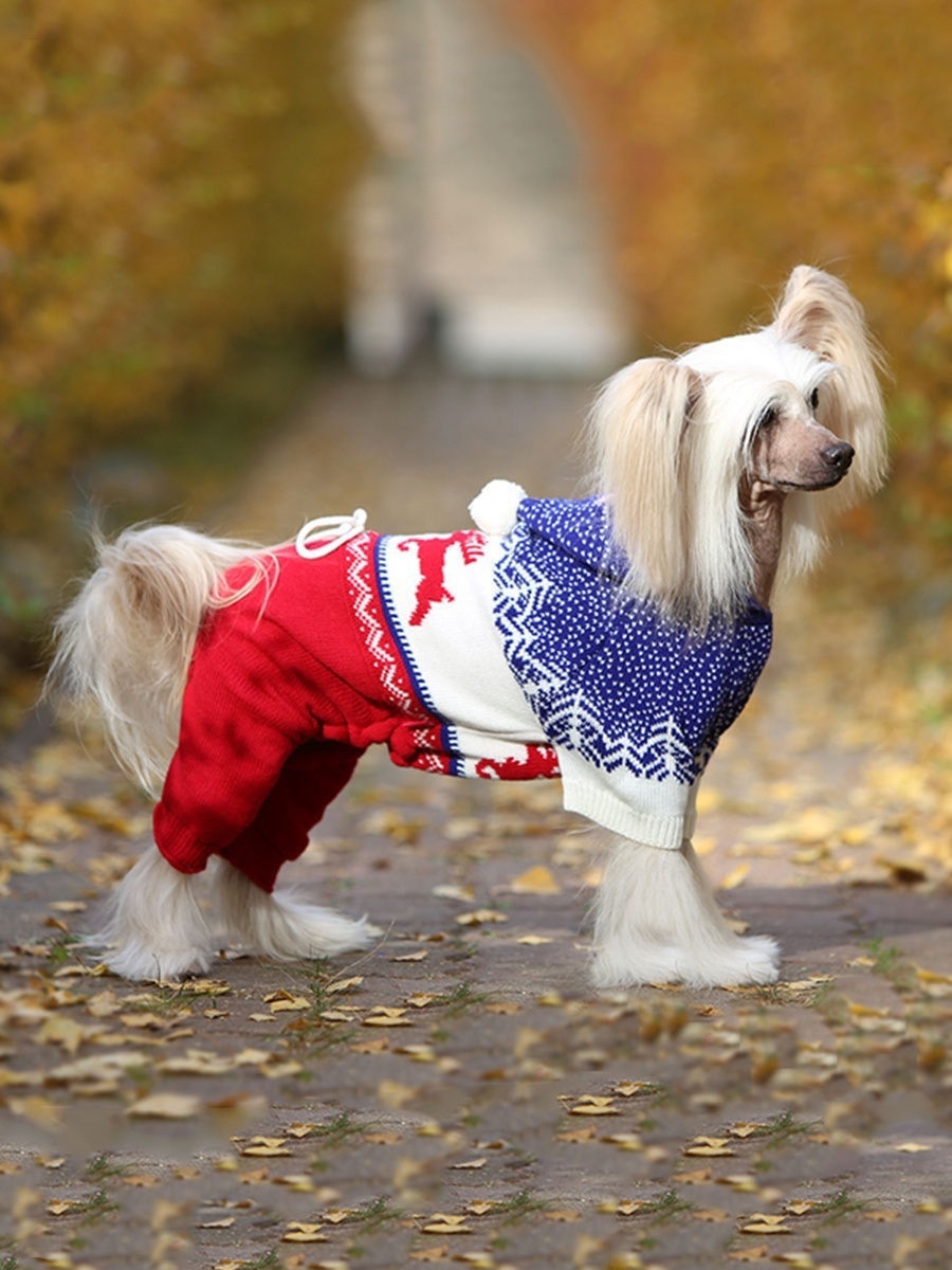 Костюм для собак красный FORMYDOGS