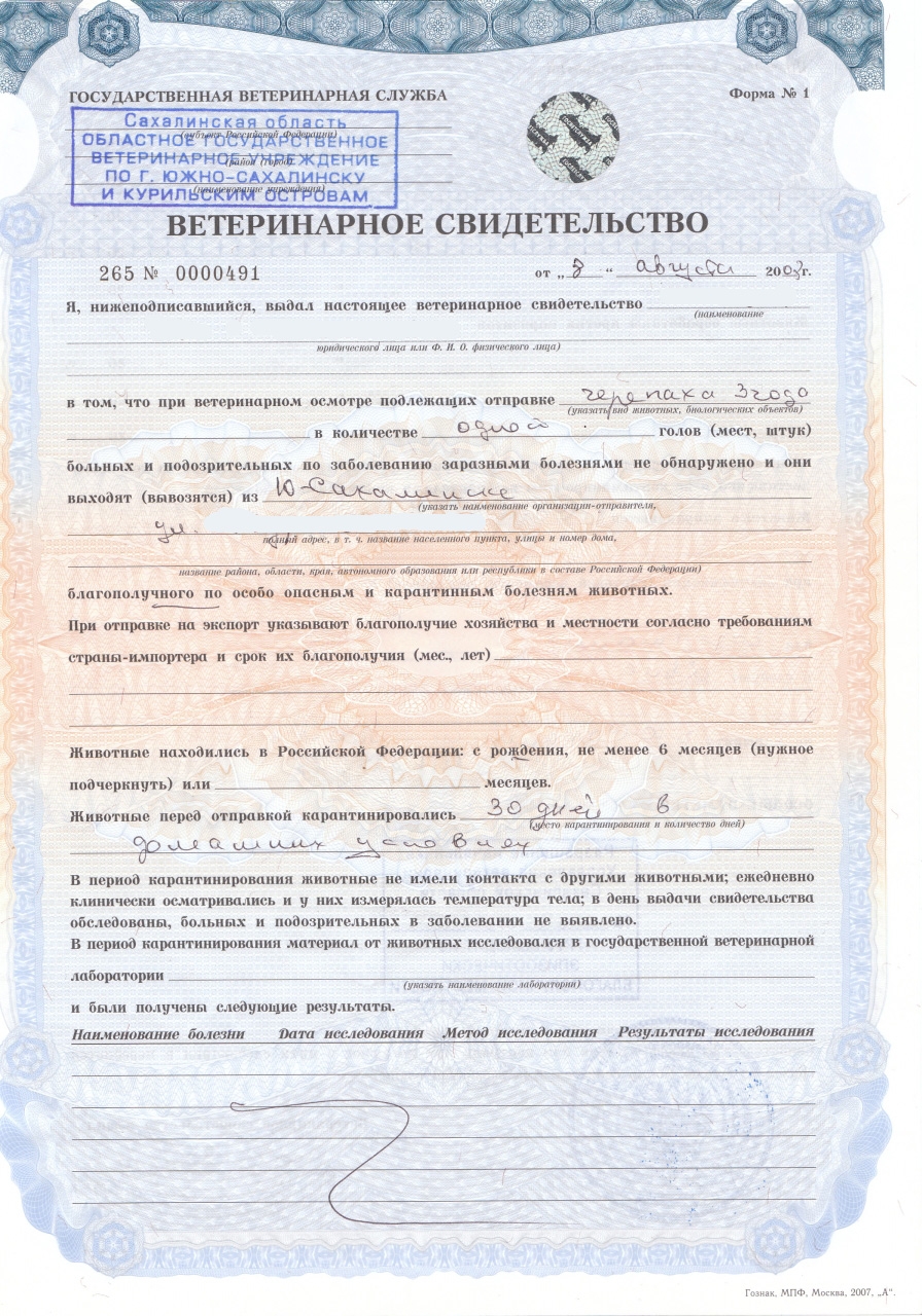 Ветсвидетельство форма 1 для перевозки КРС