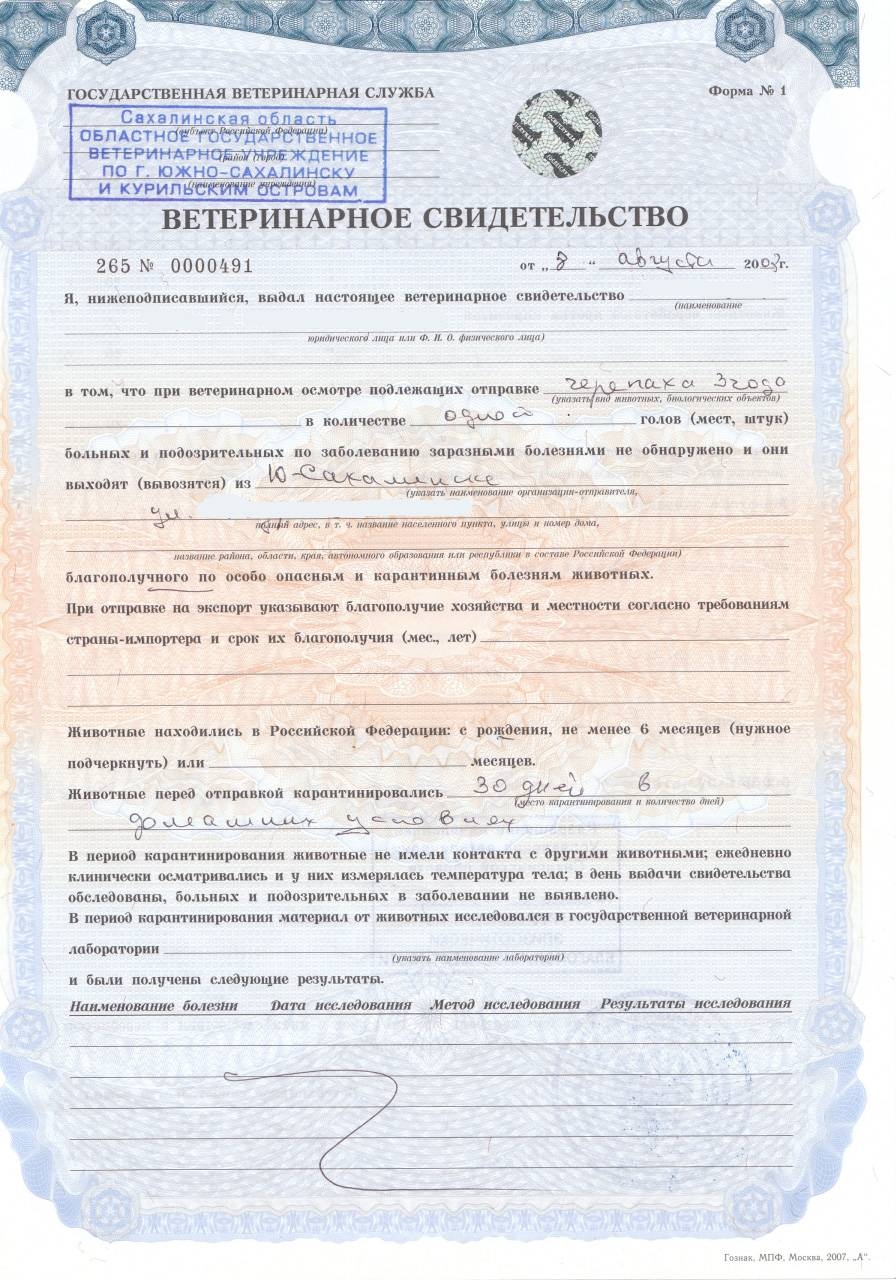 Ветсправка ф4