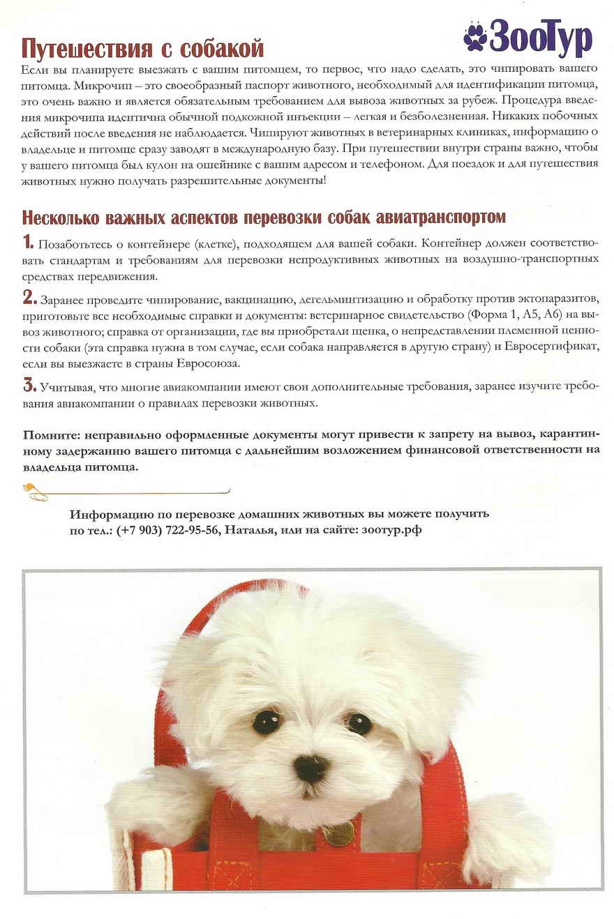 Сайты где можно купить щенка