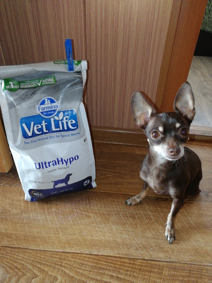 Vet life ultrahypo для собак. Корм для собак Farmina ULTRAHYPO 12 кг. Фармина ультрагипо для собак. Фармина vet Life ULTRAHYPO корм для собак.