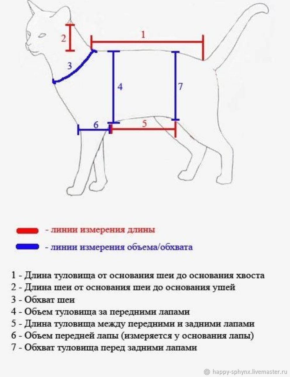 Объем cat. Выкройка одежды для кота сфинкса с размерами. Снять мерки с кота. Выкройка одежды для кошки сфинкс с размерами. Выкройка комбинезона для кота сфинкса с размерами.