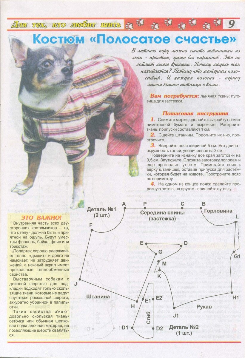Шьем одежду для собак