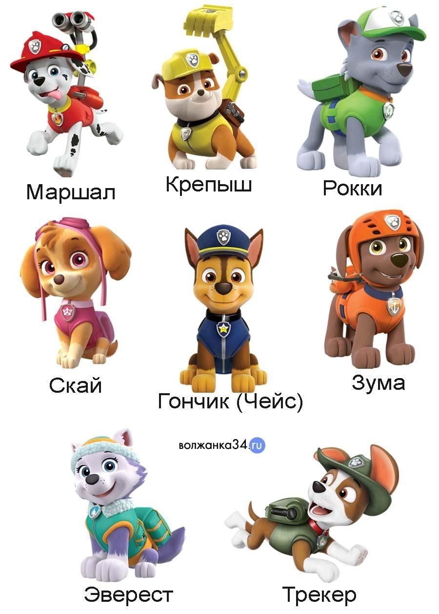 Герои мультфильма Щенячий патруль по именам