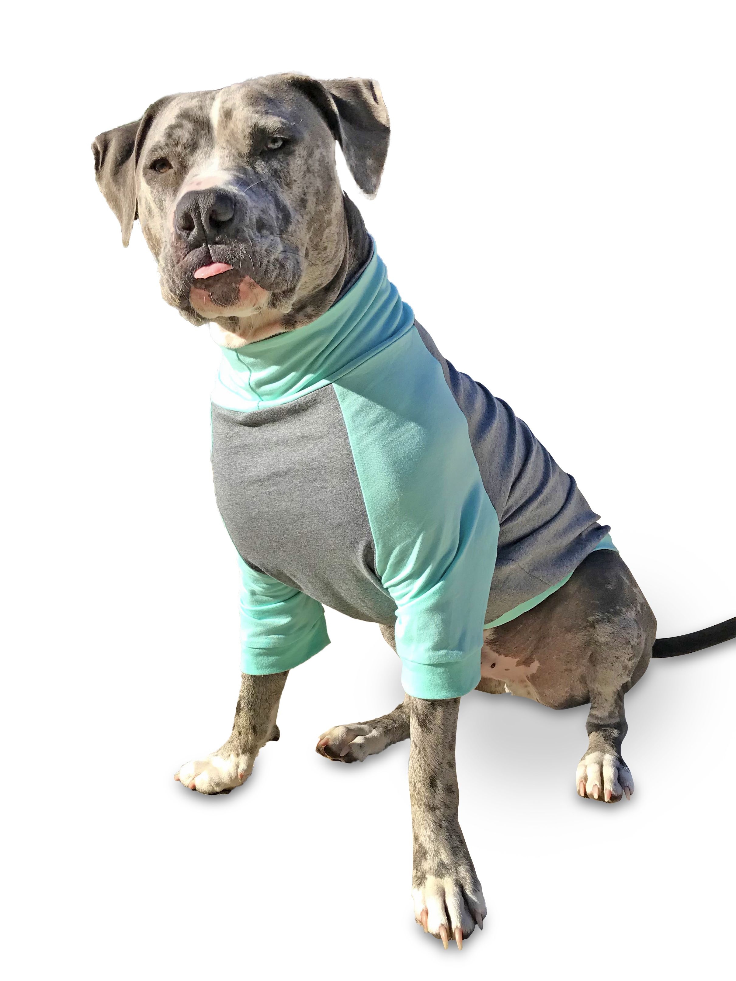 Купить одежду для собак крупных пород в интернет магазине вторсырье-м.рф