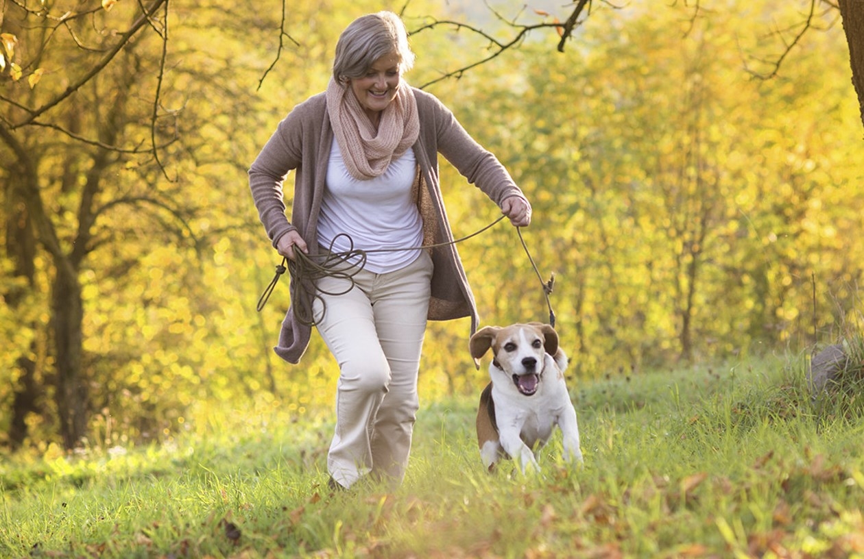 Гуляем с белой. Прогулка с собакой в парке. Пожилая женщина с собакой. Прогулки на свежем воздухе. Женщина с собачкой в парке.
