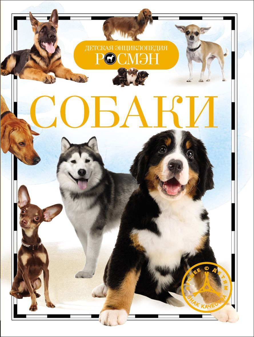 Шпиц jiffpom