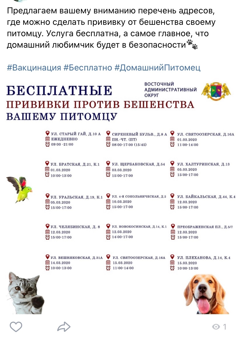 Прививки щенку французского бульдога по месяцам таблица