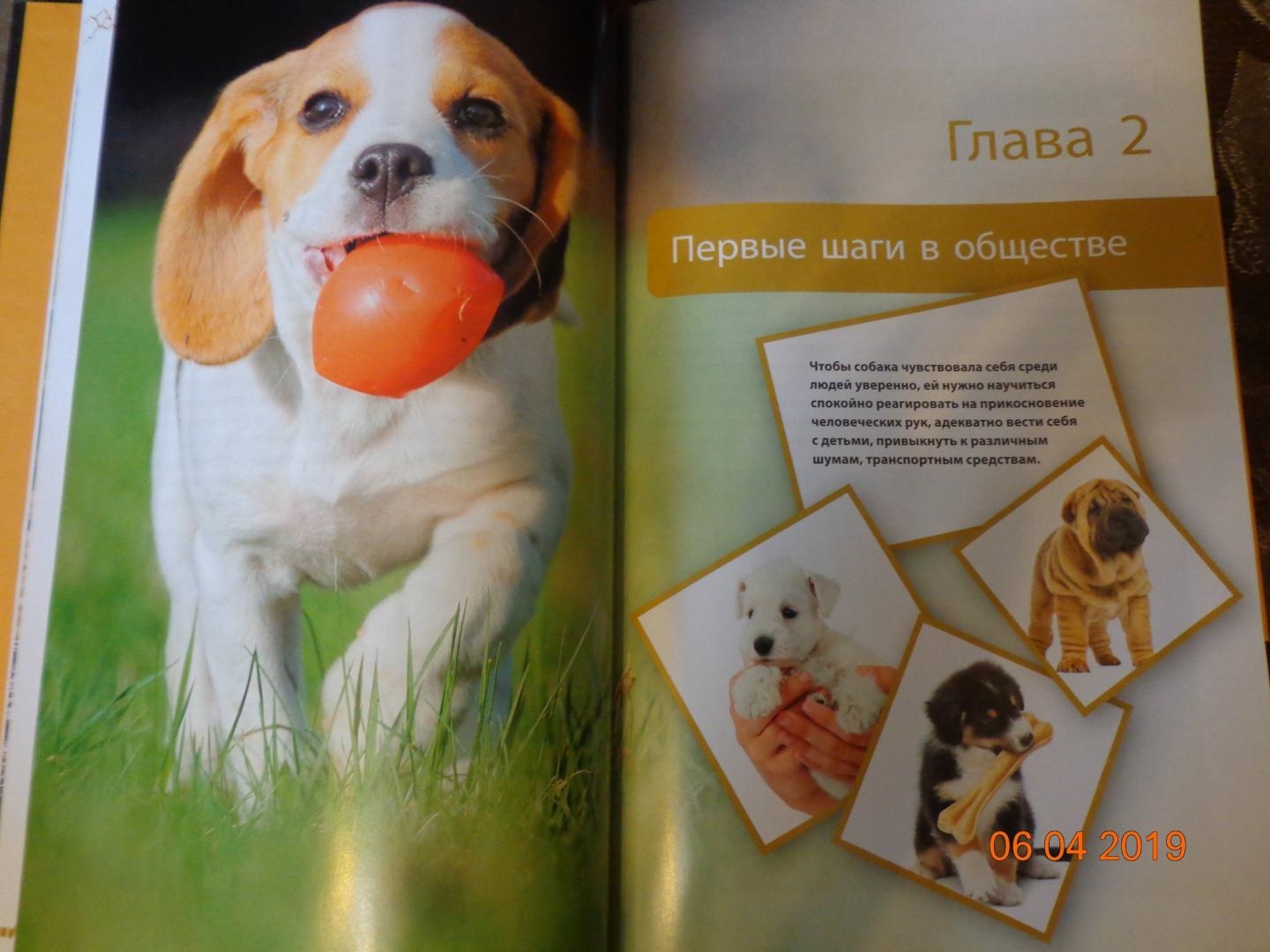 Как правильно воспитывать собаку. Книга по воспитанию собак. Воспитание щенка книга. Книги о воспитании собак.