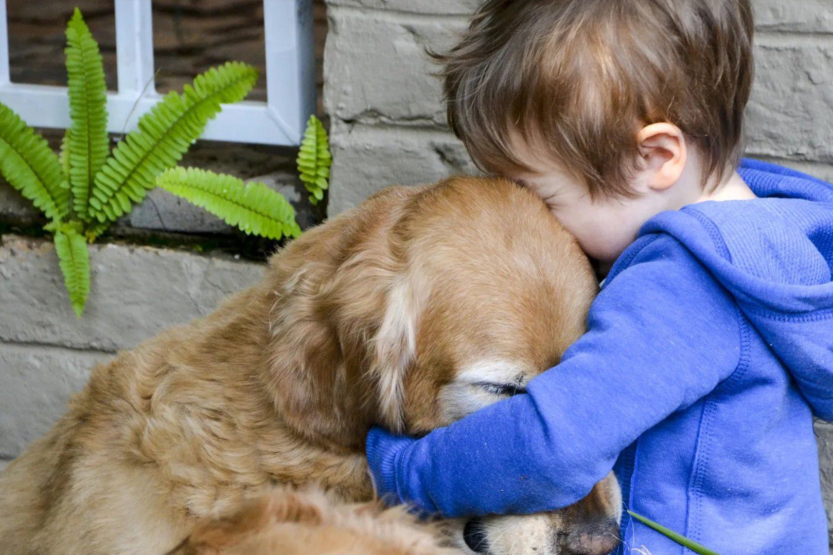 История собаки мальчика. Мальчик с собакой. Дети с животными. Собака для детей. Ребенок обнимает собаку.