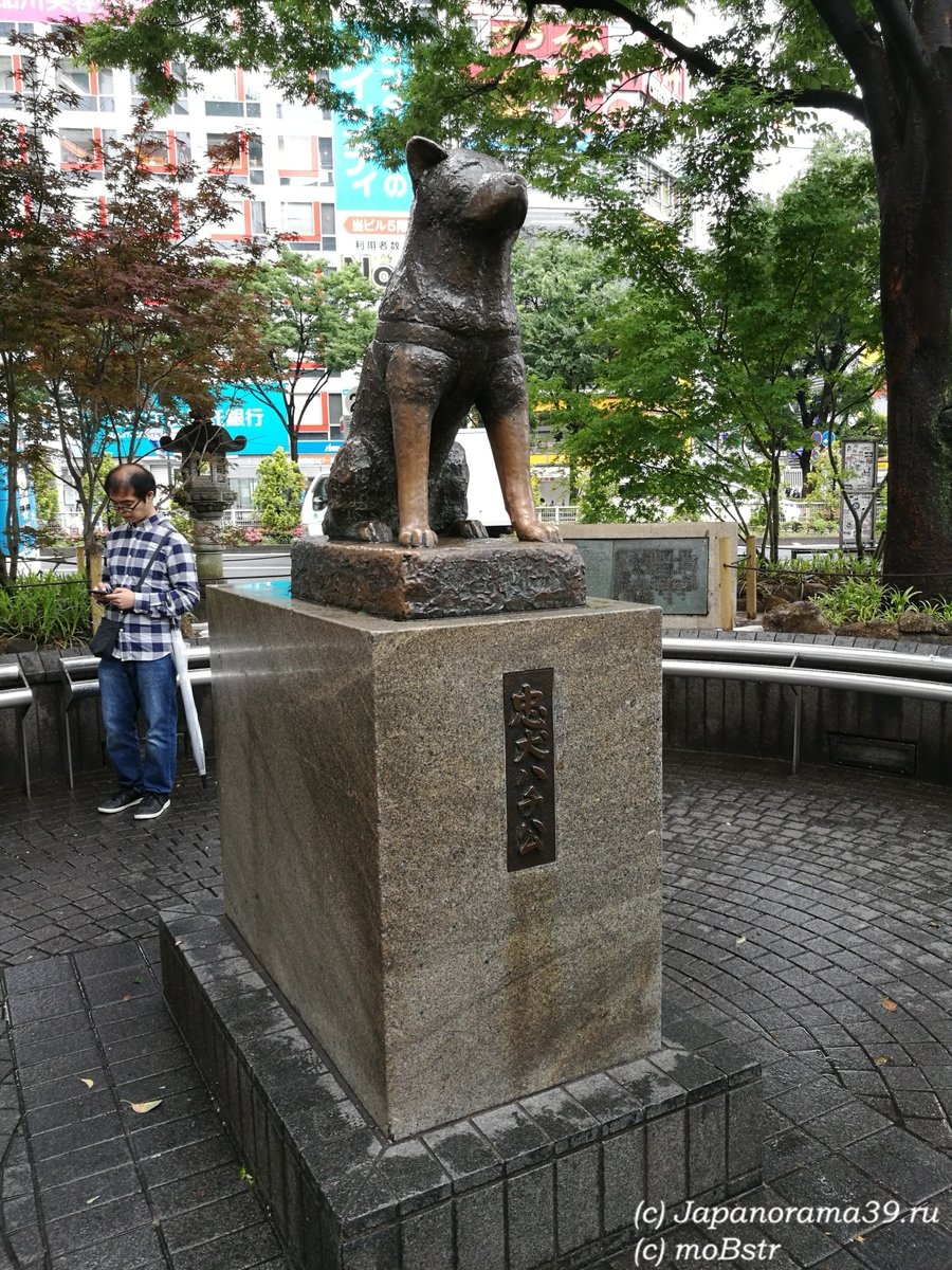 статуя хатико у станции сибуя