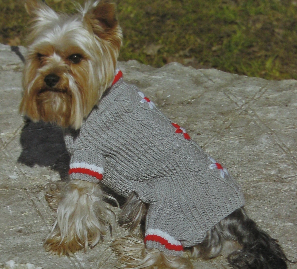 Вязаный свитер для собаки спицами - 65 фото