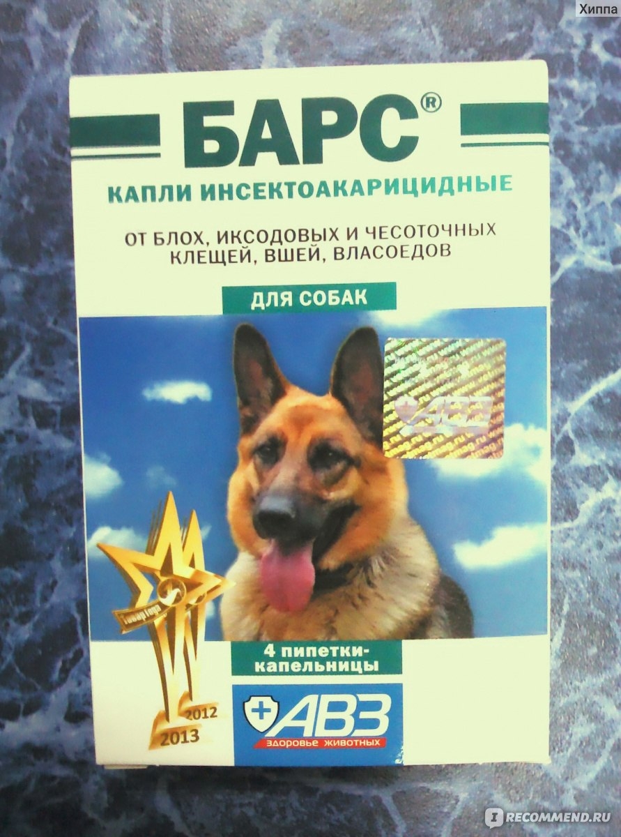 Чем лечат собак от клещей (63 фото)