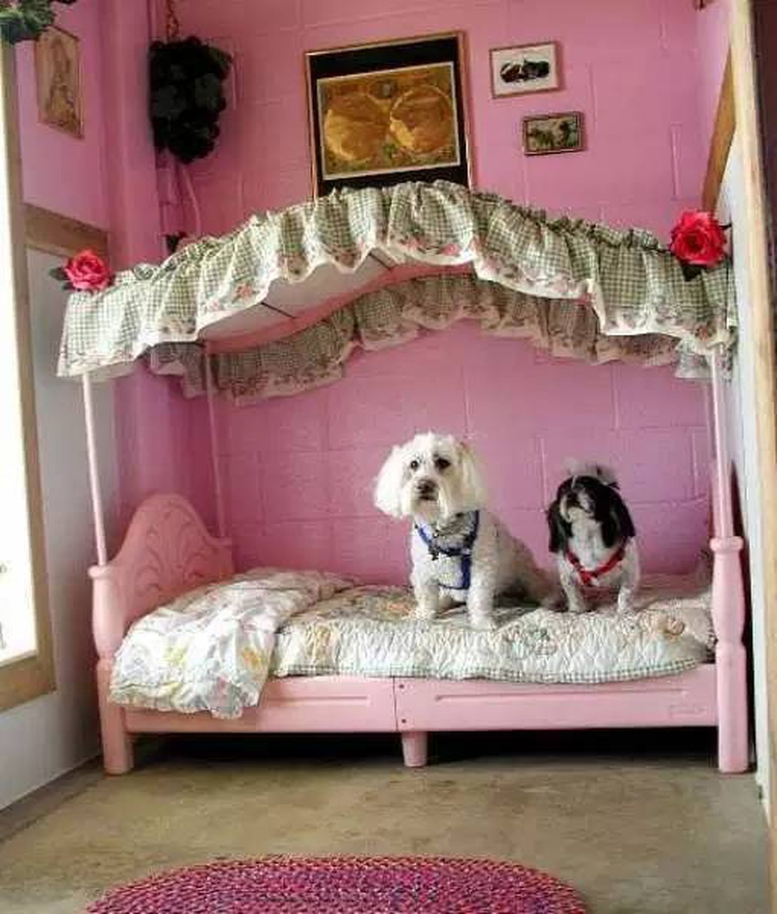 Дом питомцев 2. Комната для собак. Домик для собаки в квартиру. Собака в спальне. Интерьер комнаты для собаки.