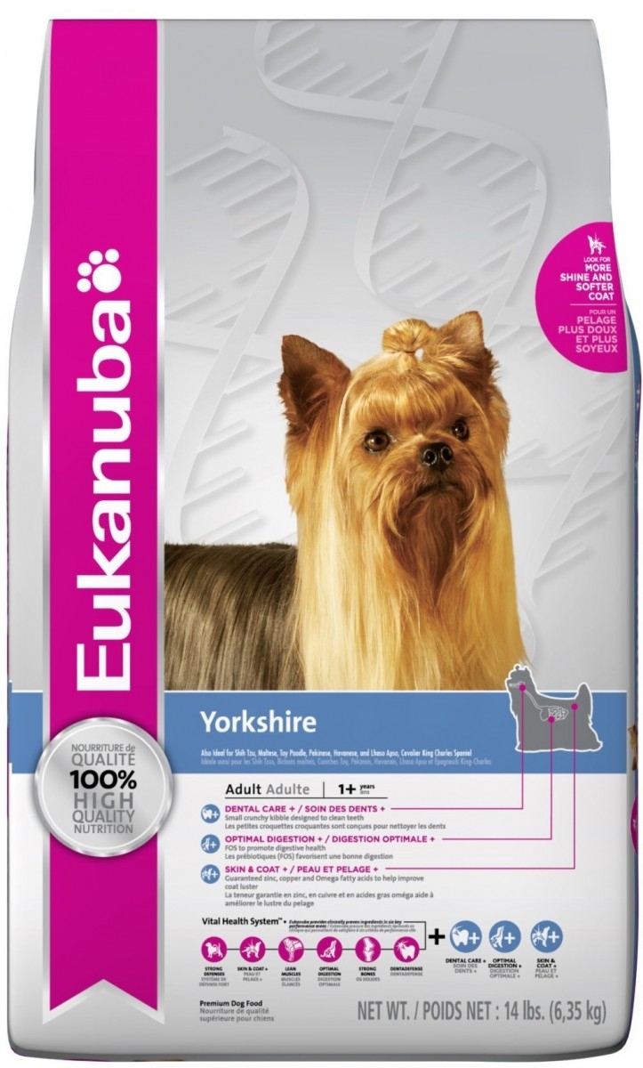Корм Eukanuba для йоркширского терьера