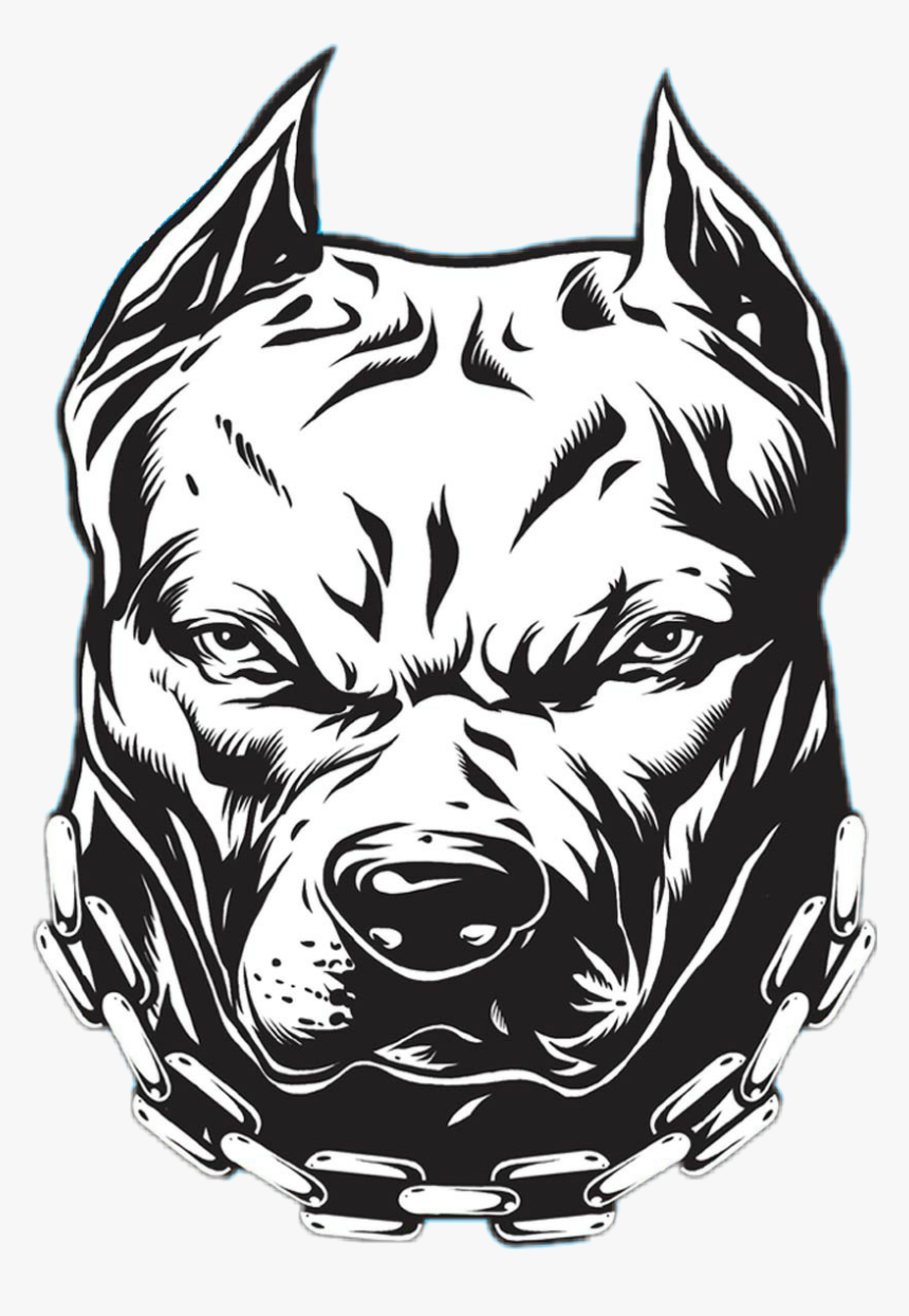 Pitbull Давидыч