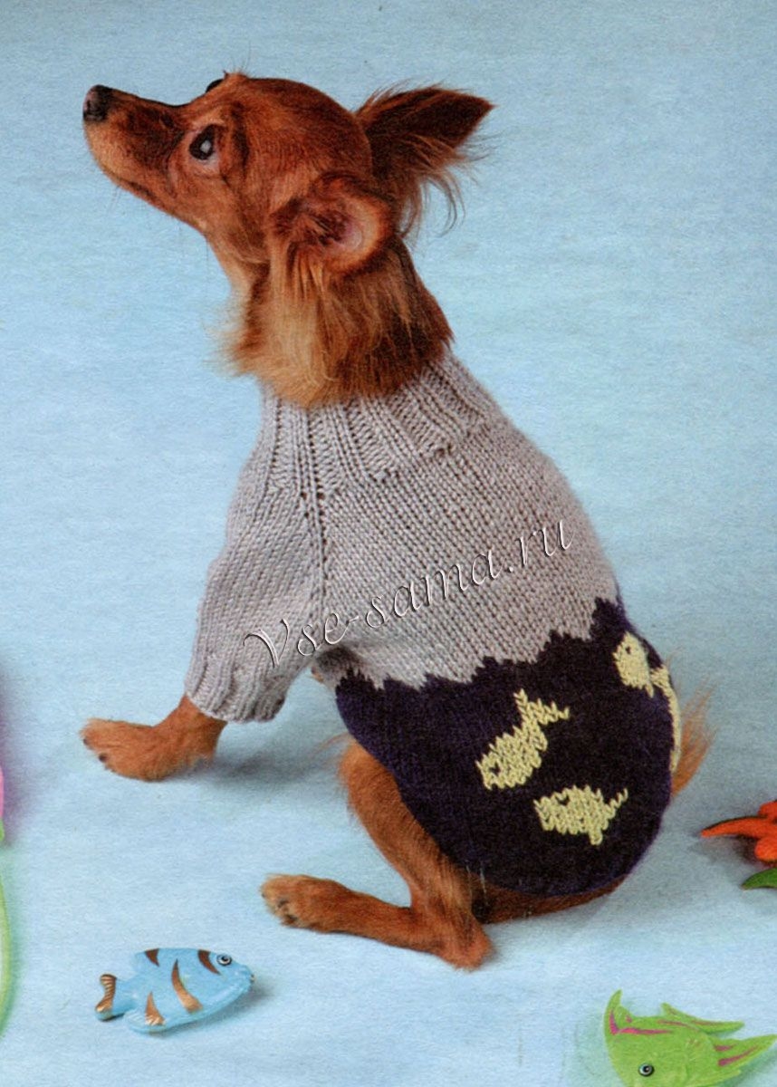 Связать свитер собаке спицами