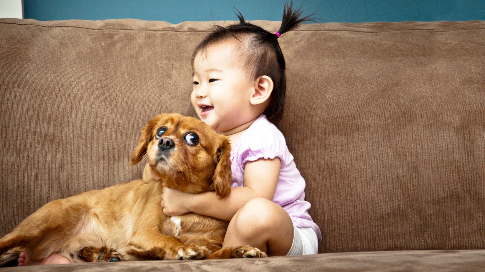 Экзотические дети. Смешные дети и животные. Собака для детей. Что такое собачка ребенка настоящая. Китайские дети с животными.