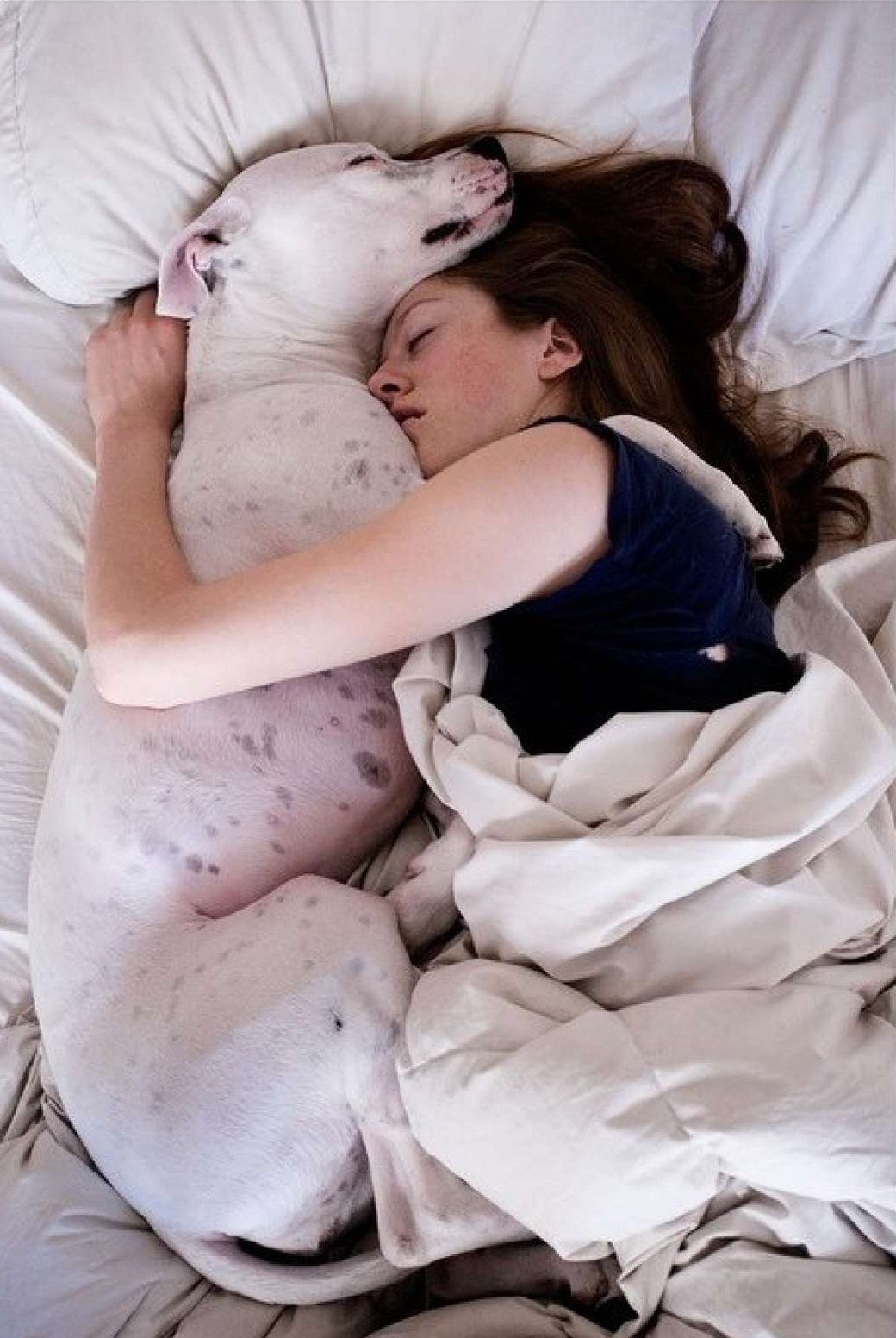 Собака спит с человеком