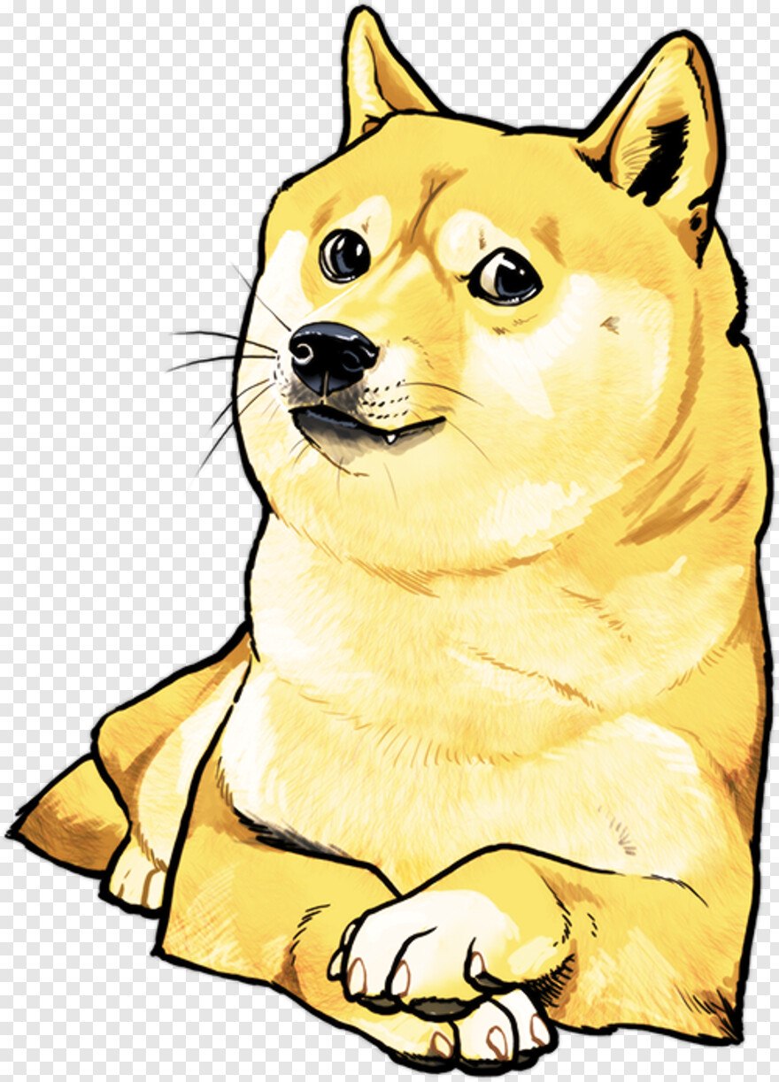 Сиба-ину Doge