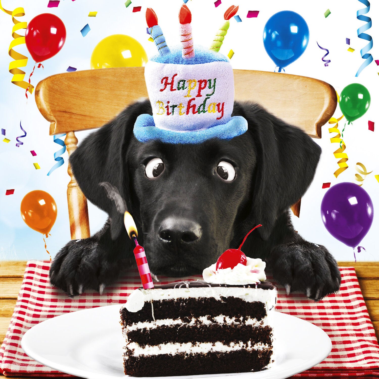 Красивая авторская открытка собака с днем рождения