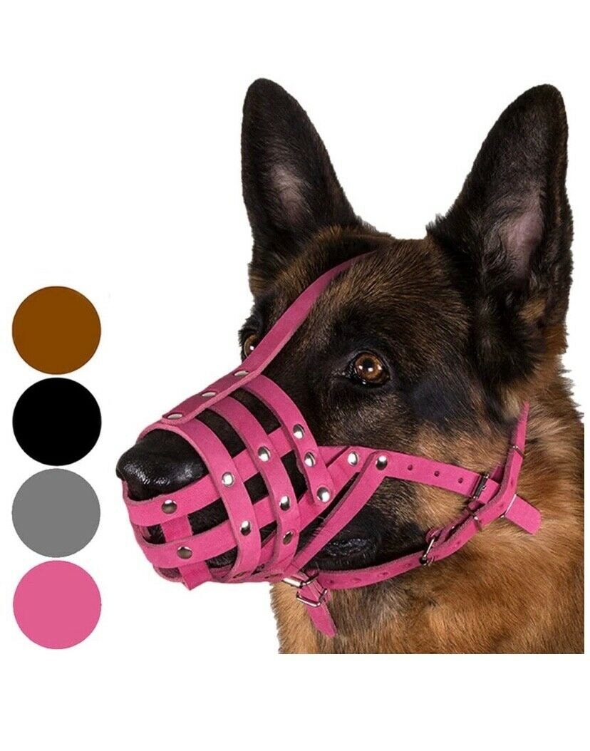 Розовый намордник для собаки
