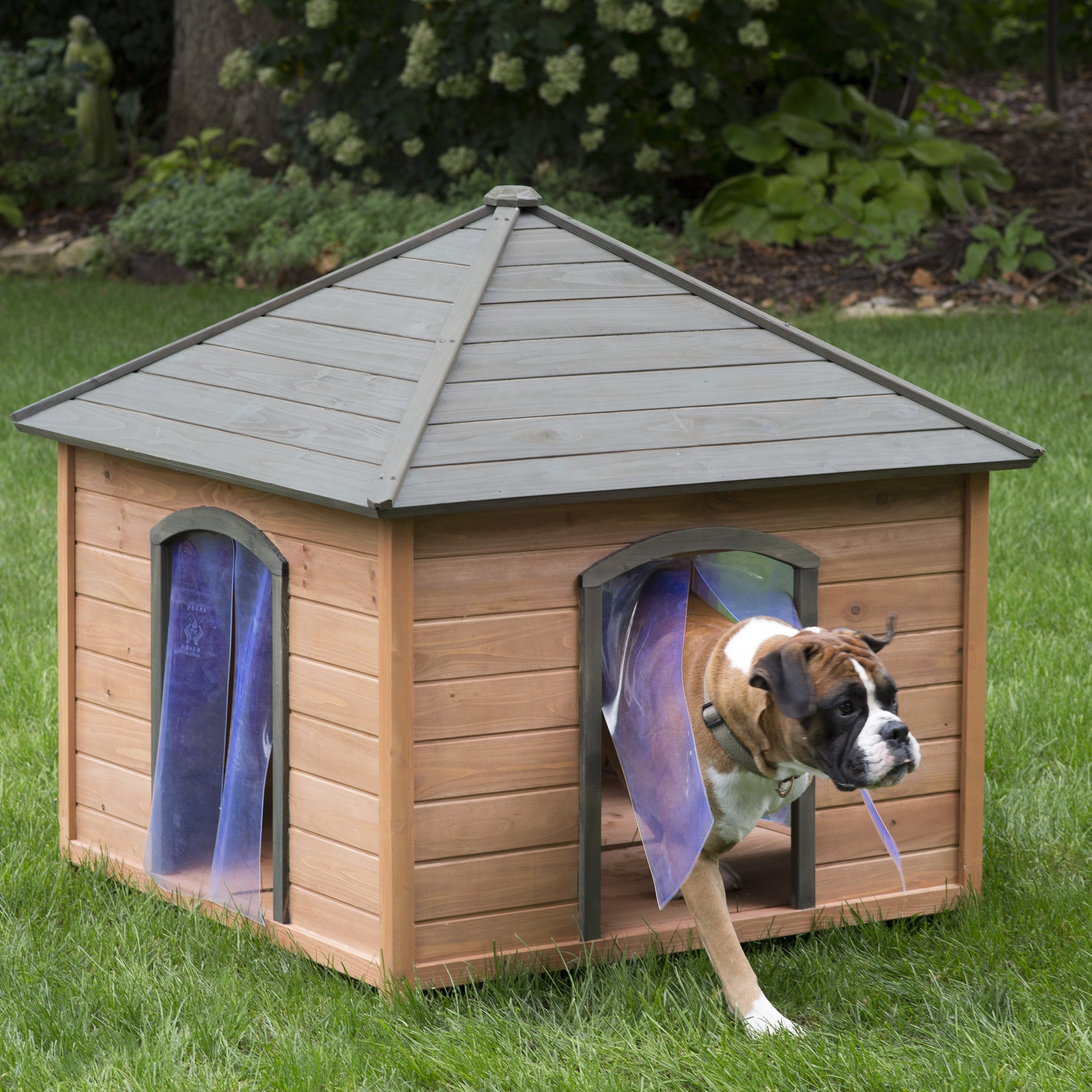 Dog house megaways dogs house net