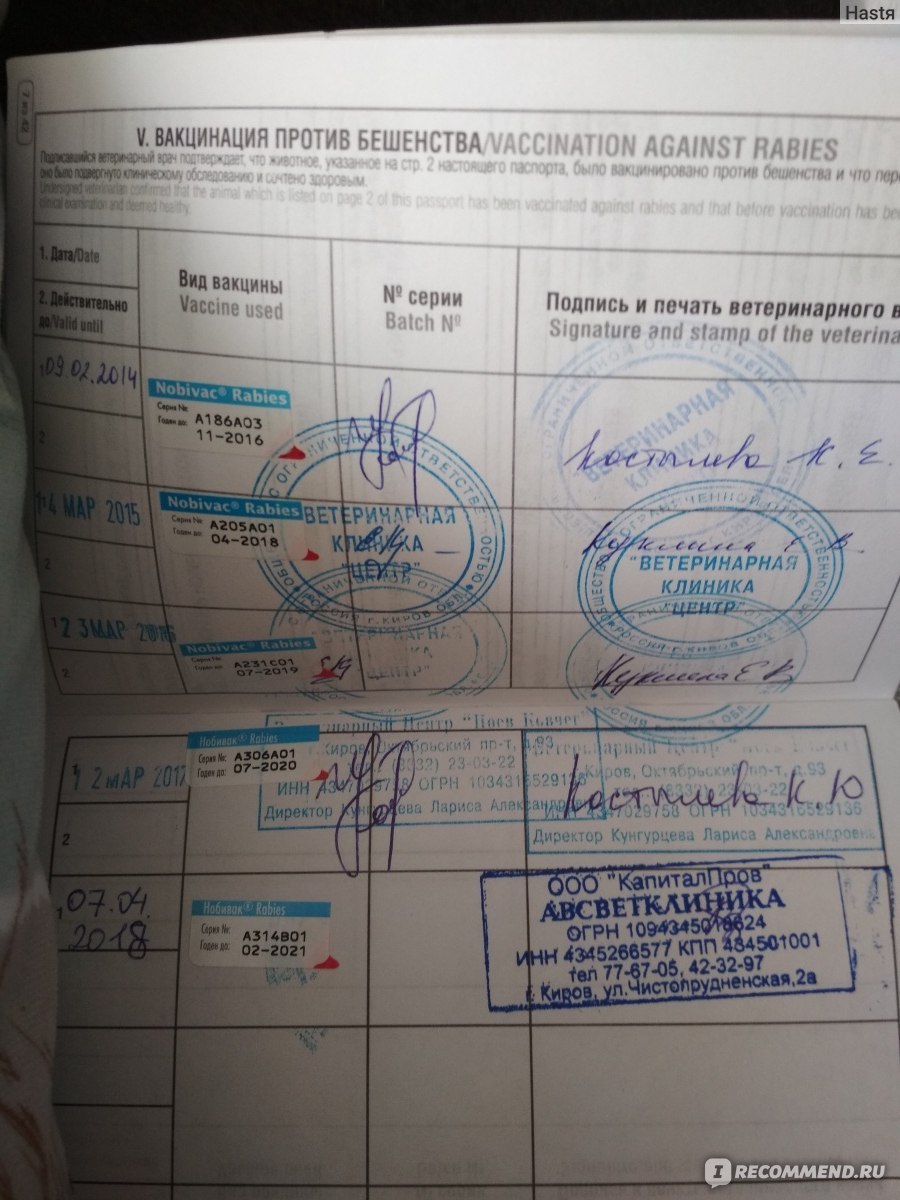 Схема прививок для кошек