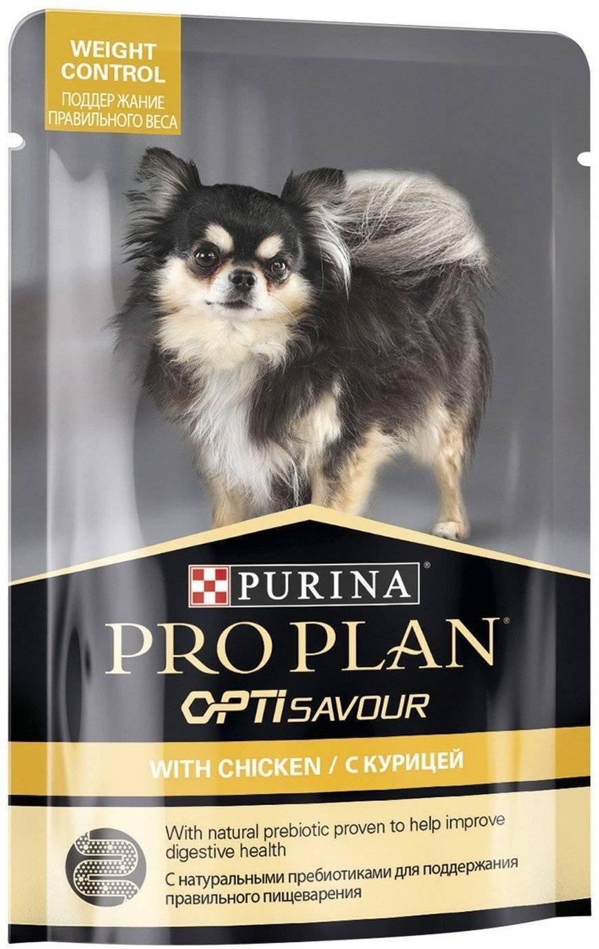 Pro Plan влажный корм для собак