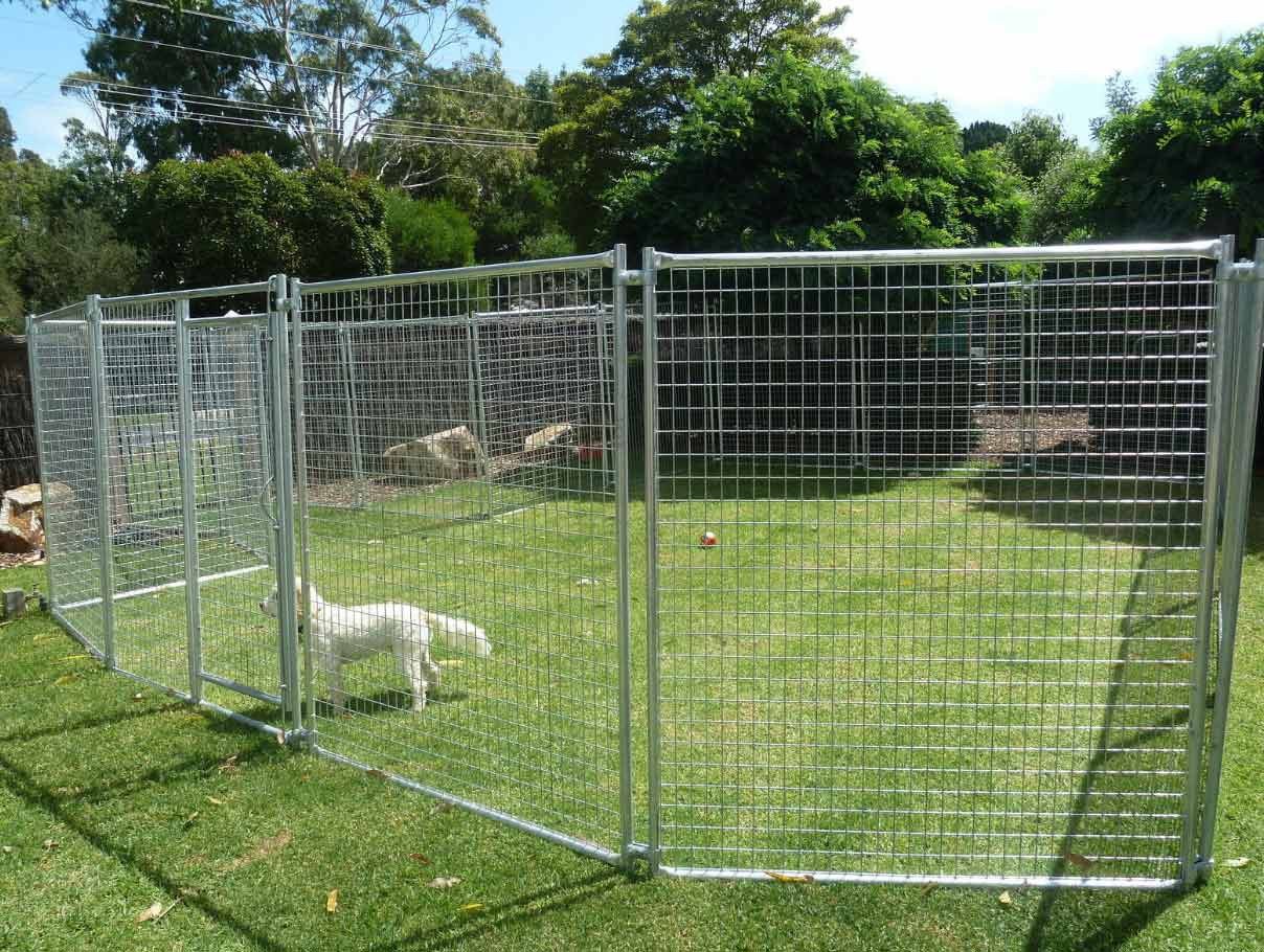 Забор от собак на участке фото