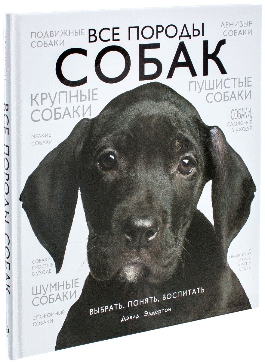 Палмер породы собак