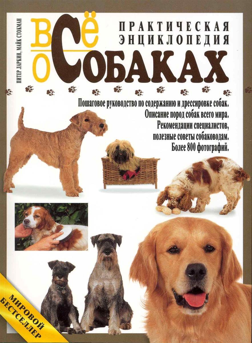 Разные породы собак и их названия