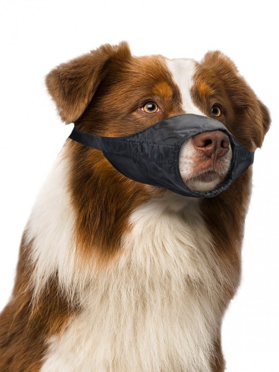 Намордник для собак Dogger