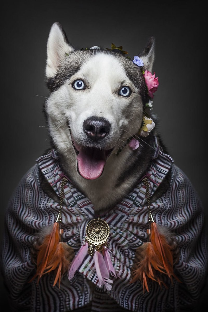 Фотопортрет собаки