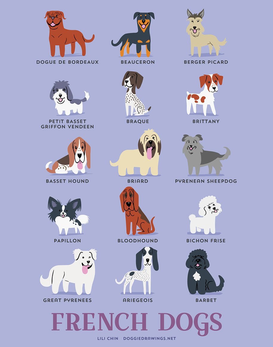 Названия кличек собак