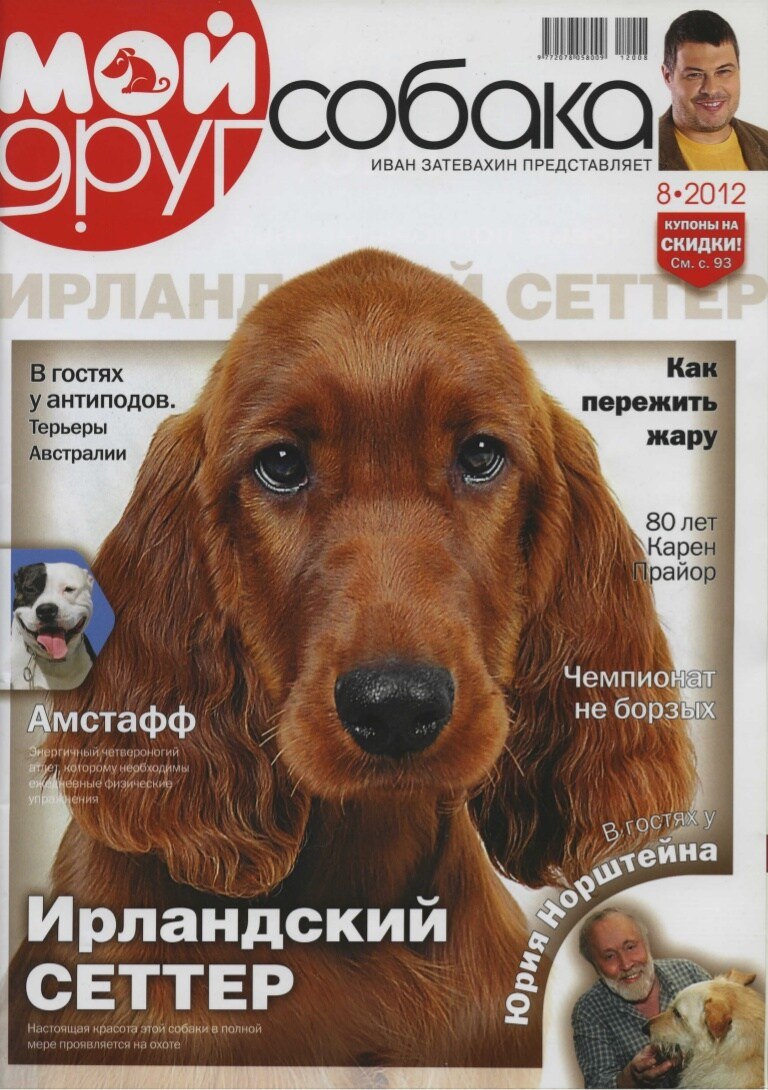 Журнал собака