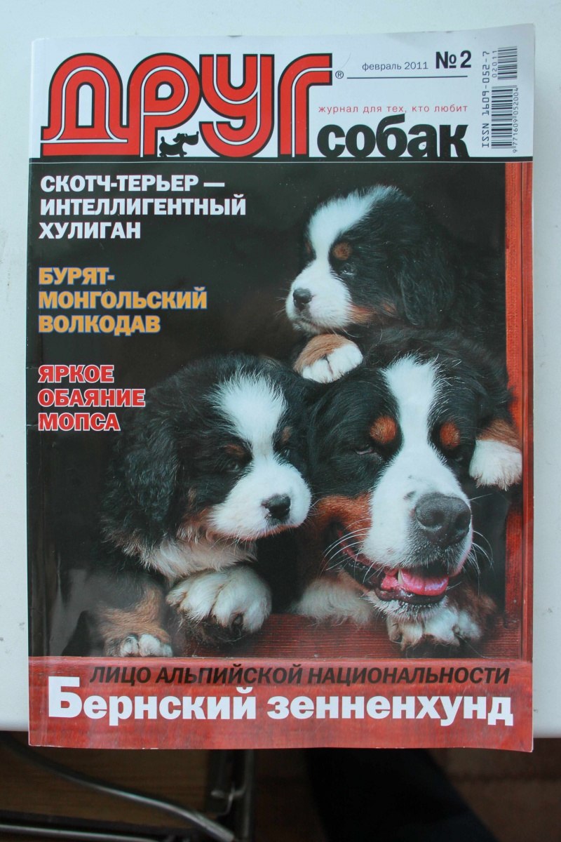 Журнал друг