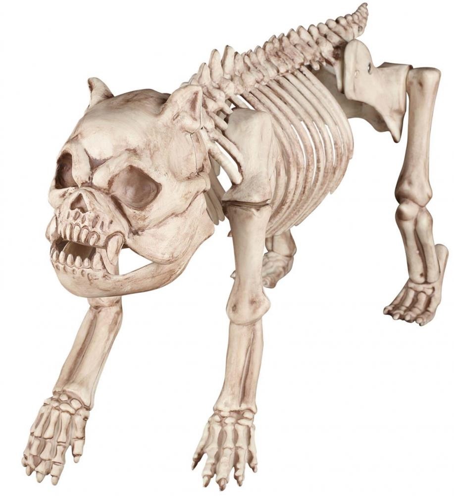 Скелет щенка