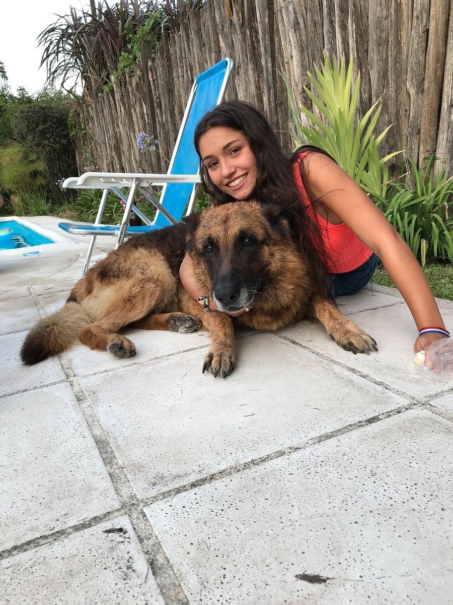 German Shepherd bite