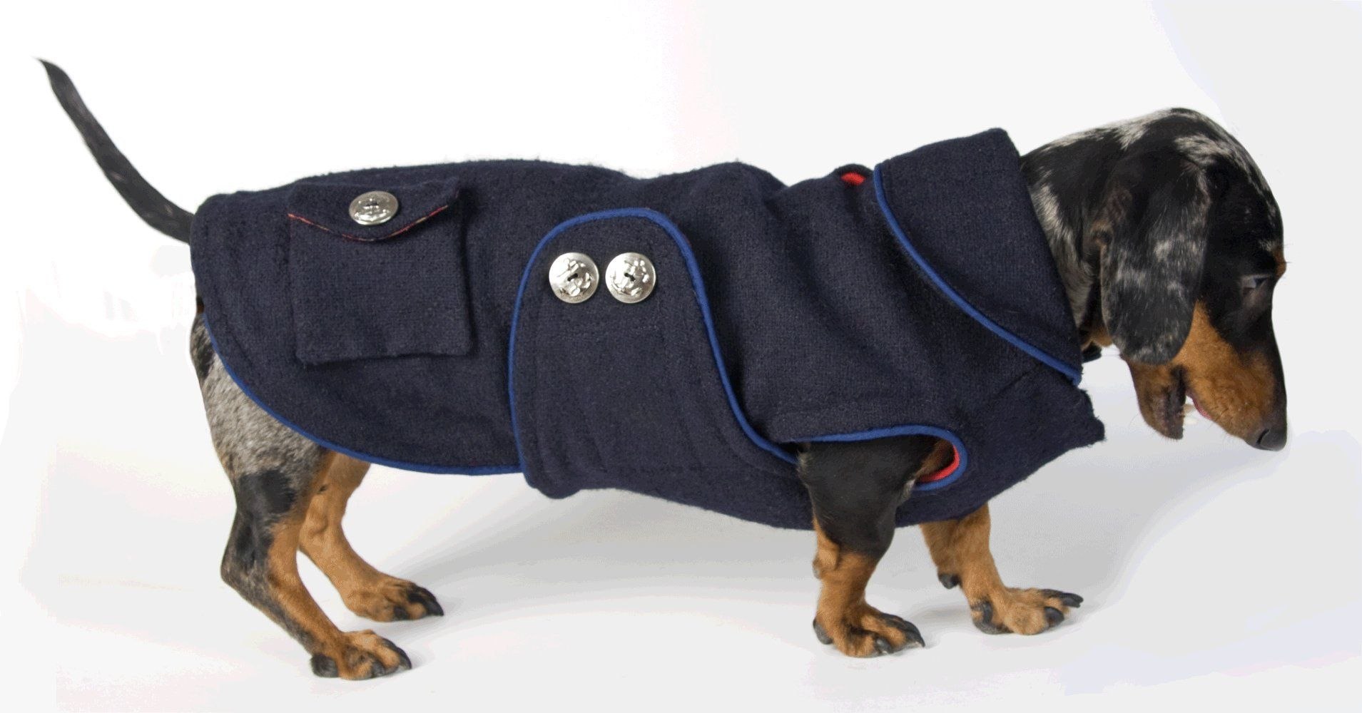 Одежда на собаку таксу