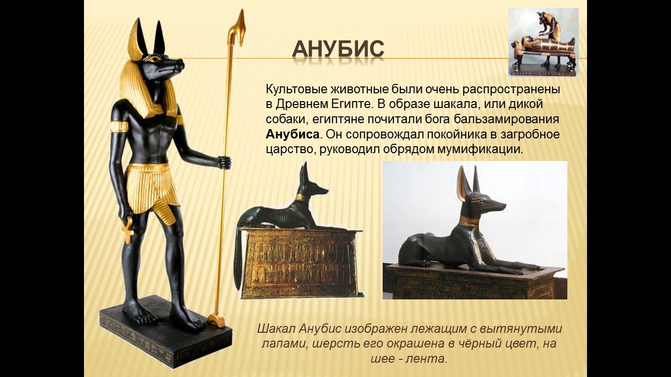 Анубис это история 5. Анубис Бог древнего Египта. Древняя статуя Анубиса в Египте. Бог Анубис в образе шакала. Анубис проводник в загробный мир.