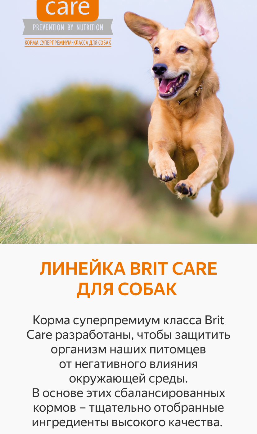 Brit Premium by nature Senior 15кг