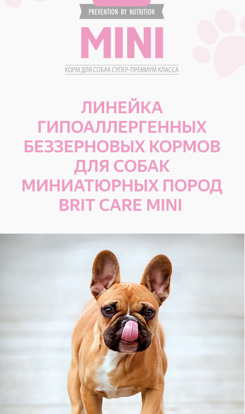 Американский ПИТБУЛЬТЕРЬЕ