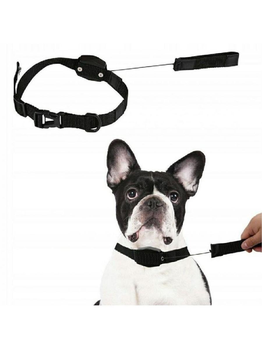 Регулируемый поводок Lucky Leash