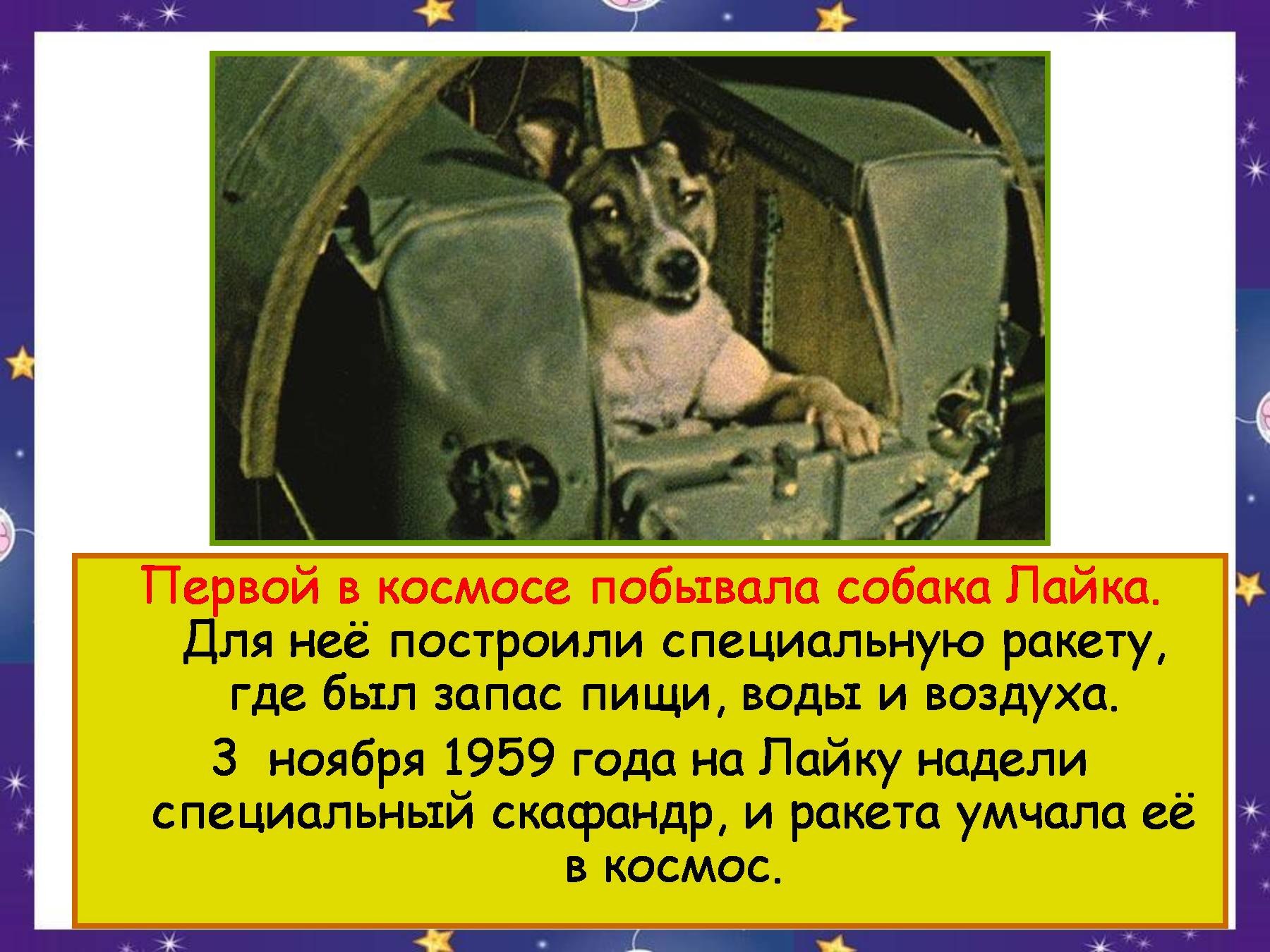Первой собакой в космосе была. Лайка первая собака которая полетела в космос. Собаки в космосе презентация. Собака лайка побывавшая в космосе. Лайка в космосе презентация.