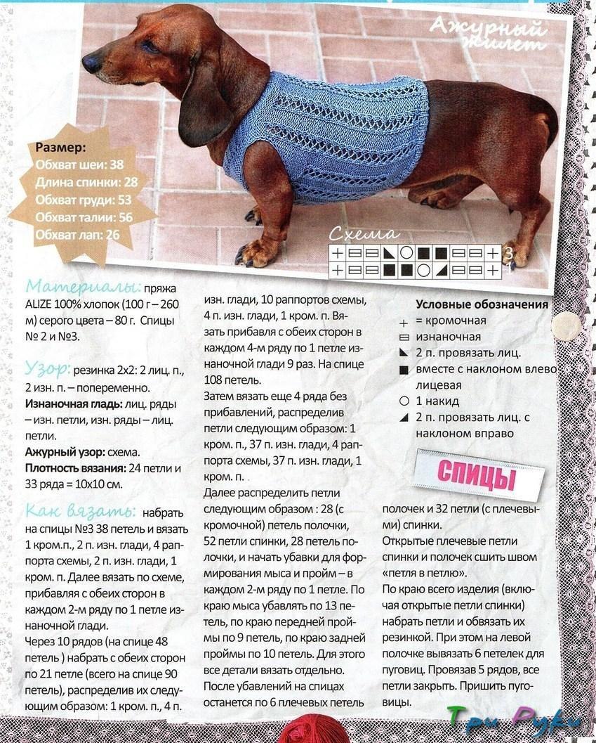 Схема вязания одежды для таксы