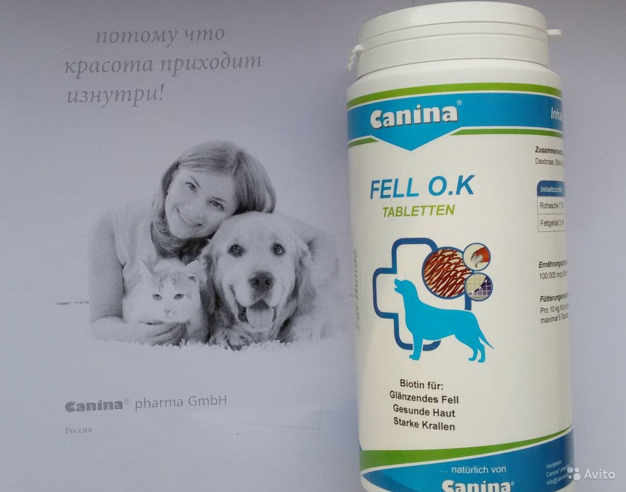 Купить canina собак. Канина витамины для собак. Canina fell o.k.. Витамины Canina petvital dеrm caps для кошек. Витамины канина в Мурманске.